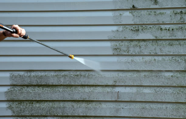 Best Driveway Pressure Washing  in Halfway, MD